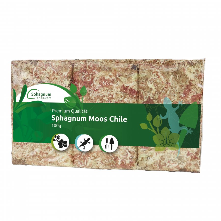 Sphagnum Moos aus Chile Ziegel 100g